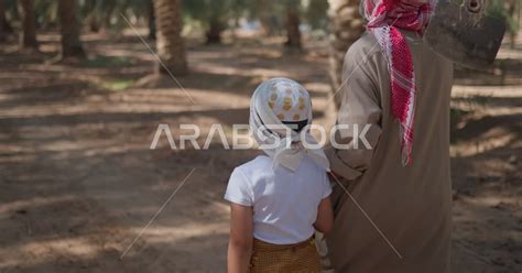 Walking Around The Fruitful Palm Farms In The Kingdom Of Saudi Arabia