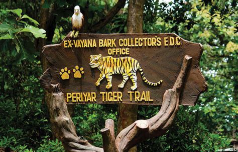 PERIYAR TIGER SANCTUARY The Indian Panorama