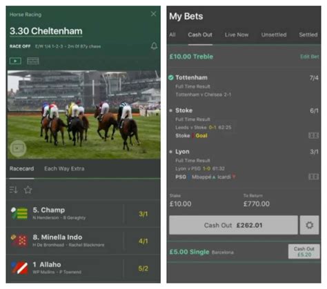 Bet 365 New York App – What to Expect?