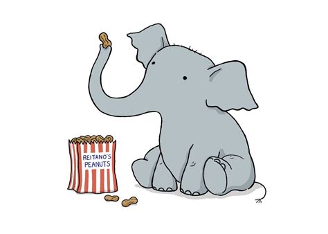 Elephant Eating Peanuts