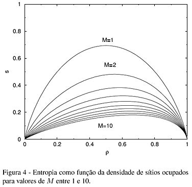 SciELO Brasil Entropia De Cadeias Dispostas Numa Rede