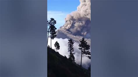 Ytshorts Evacuation Urgent Fuego Volcano Eruption Guatemala Shorts