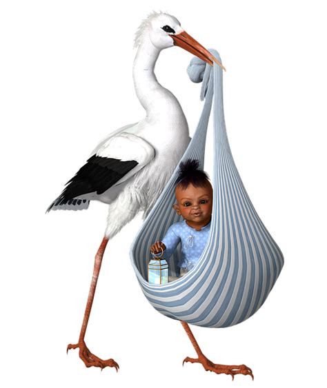 Free Baby Stork Illustration Baby Images Pixabay