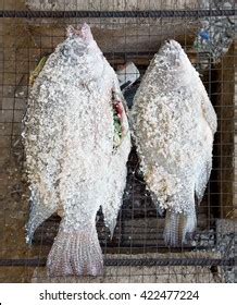 Saltcrusted Grilled Fish Horny Being Banged Stock Photo Shutterstock