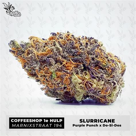 Strain Review: Slurricane (Flower) | AudioKush