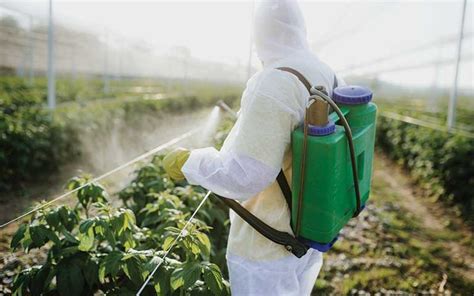 PARAQUAT A WIDELY USED INDUSTRIAL WEED KILLER LINKED TO PARKINSON S