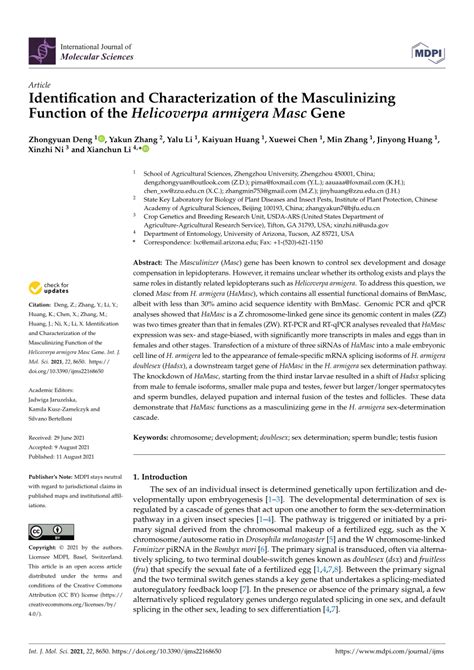 Pdf Identification And Characterization Of The Masculinizing Function