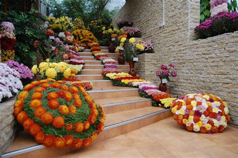 Flori de toamnă la Grădina Botanică - Şapte pietre