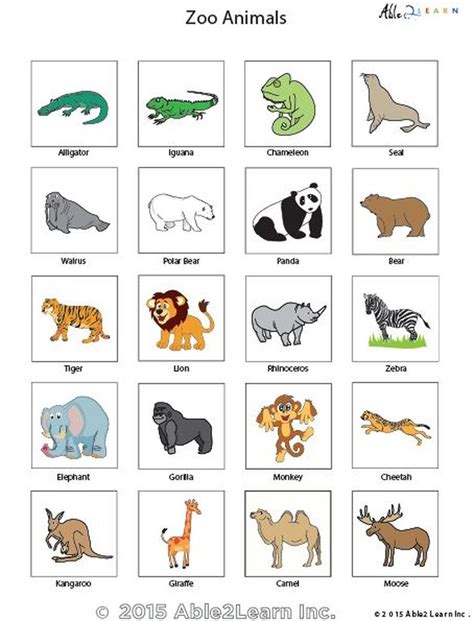 Zoo Animals Pictures For Kids - Coloring Easy for Kids