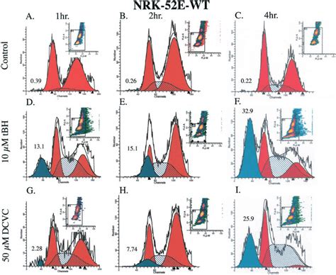 Flow Cytometry Analysis Of Propidium Iodide Stained Wild Type Nrk 52e Download Scientific