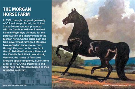 The Morgan Horse Farm Jeanne Mellin Exhibit