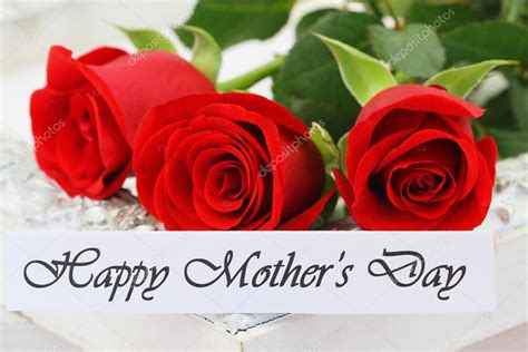 Mothers Day Roses / Happy Mother S Day Roses Photograph By Stephanie ...