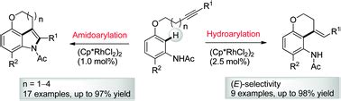 Rhodium Iii Catalyzed Intramolecular Amidoarylation And Hydroarylation