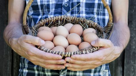 Ovo je najzdraviji način pripreme jaja Nutricionisti savetuju da