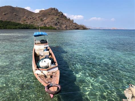 Tours To Komodo Labuan Bajo Aktuelle Lohnt Es Sich Mit Fotos