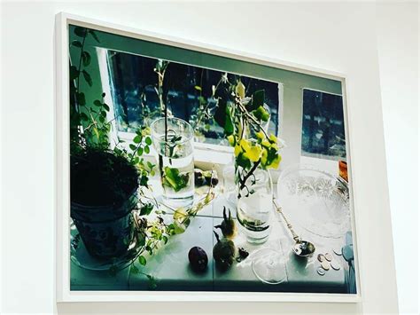 Instagram Wolfgang Tillmans Moments Of Life