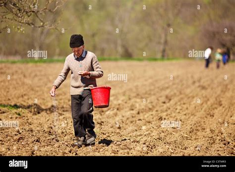 Farmer Sowing Seeds High Resolution Stock Photography and Images - Alamy