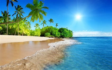 Hd Wallpaper Green Coconut Trees Palm Trees Water Beach Tropical