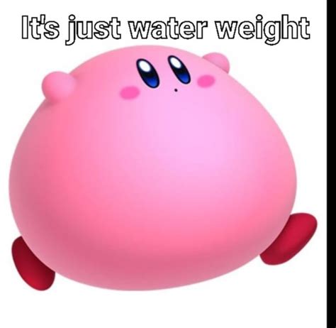 Fat Kirby R Kirbymemesandlore