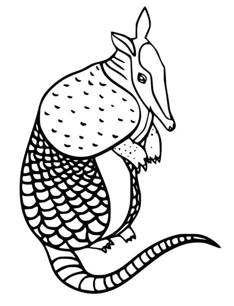 Free Printable Armadilo Coloring Page The Best Porn Website