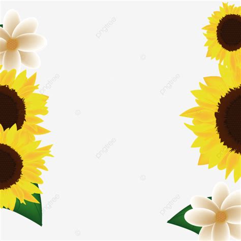 Sunflower Border Transparent Background Flower Border Floral