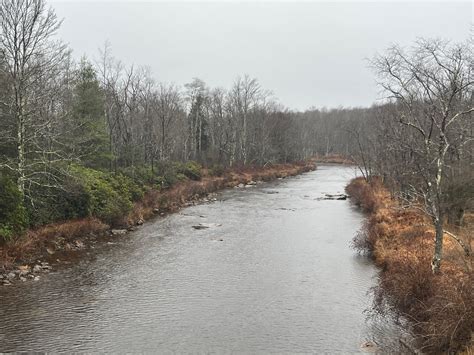 New eco-lodges will soon expand the capacity of thomas wv 8