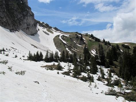 Viel Schnee Liegt Noch Auf Ca 1700 Metern Fotos Hikr Org