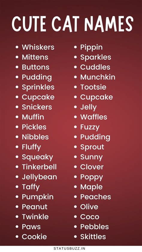 Top 50 Adorable Cat Names to Elevate Your Feline's Personality - Hunter Games Magazine