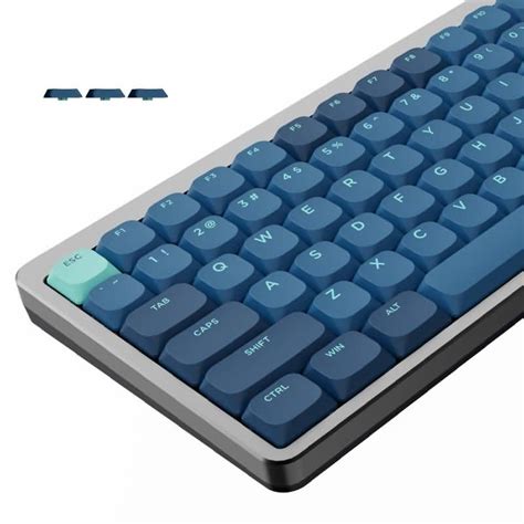 Buy Womier Double Shot Xvx Profile Pbt Keycaps Purple Keys Online