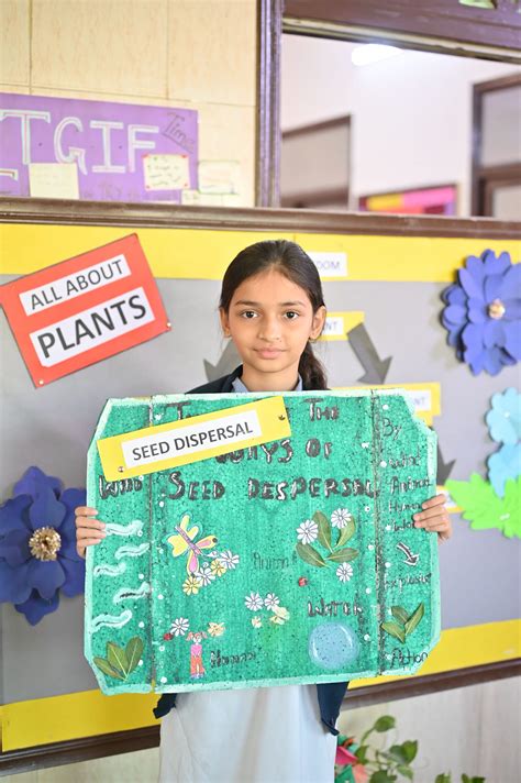 History Geography And Civics Teaching And Learning In The Primary Years 3