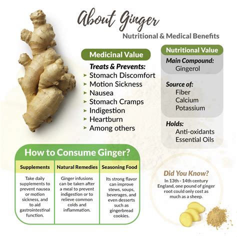 Ginger 10 Ways This Herb Improves Your Digestion