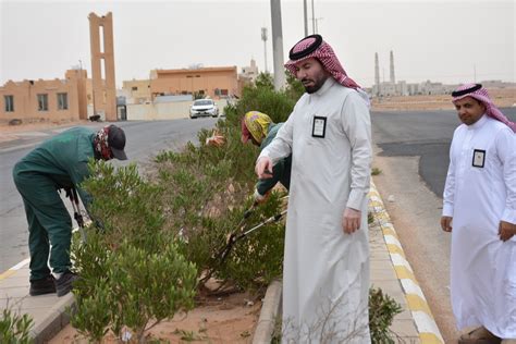 بالصور الوردة يقف ميدانياً على أعمال قسم الزراعة وأرصفة طريق عمرو