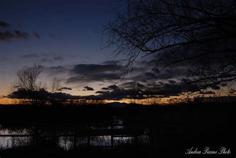 Padule Fucecchio Padule Fucecchio Ad Sunset Andrea Piccini Flickr