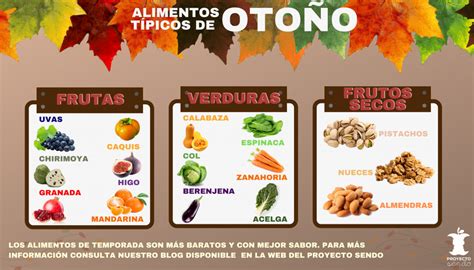 Alimentos De Temporada Oto O Proyecto Sendo