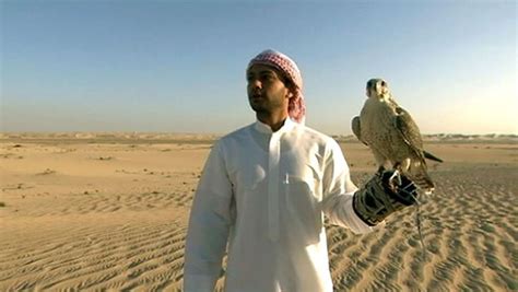 Falconry A Cherished Tradition In Abu Dhabi Britannica