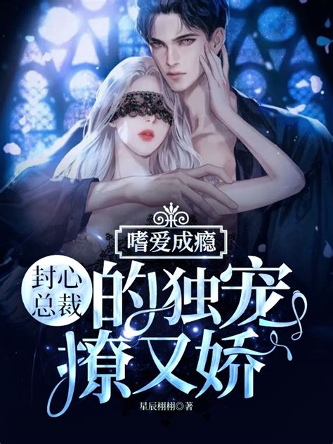 《嗜爱成瘾，封心总裁的独宠撩又娇》不限小说封面制作 二十元封面专区 墨星封面网