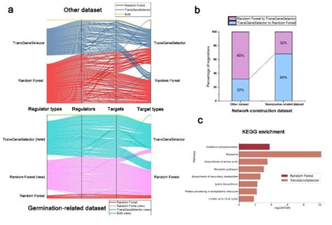 Comparative Analysis of Gene Regulatory Networks and Functional ...