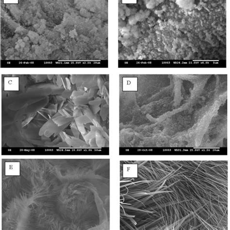 Pdf Advances In Collagen Hydroxyapatite Composite Materials