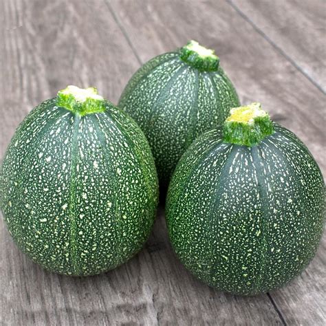 Round Zucchini Seeds | Zucchini Seeds for Planting