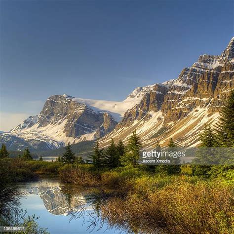 Glacier Crowfoot Photos and Premium High Res Pictures - Getty Images