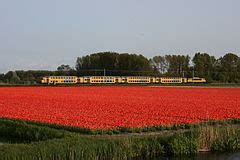 Category NS Class 1700 Wikimedia Commons