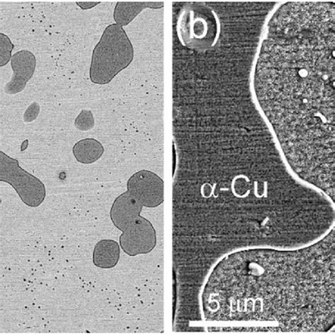 Sem Se A And Bse B Image Of Microstructures In Ss Bronze