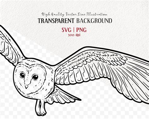 Barn Owl Vector Clipart Snowy Owl Artwork Flying Bird Line Drawing