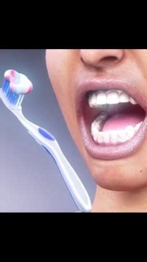 How To Brush Teeth Correctly Artofit