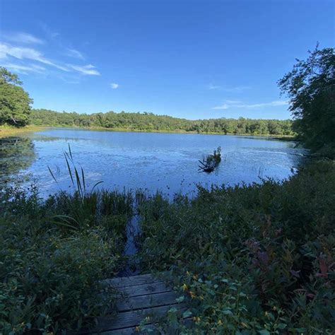 Beaver Dam Conservation Area - Backyard Road Trips