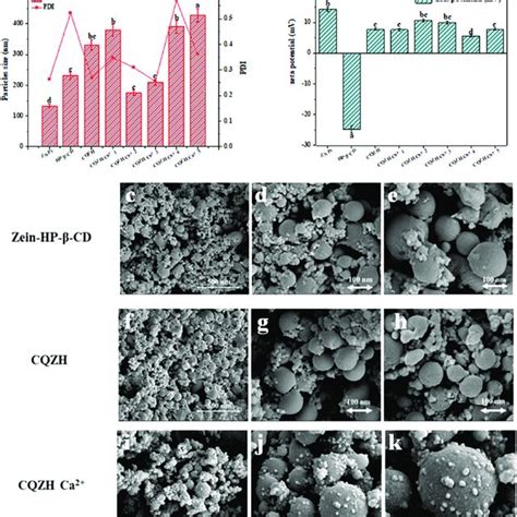 Particle Size Pdi Zeta Potential And Sem Of Samples Impact Of