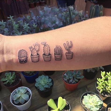 Cactus Tattoos Cactus Tattoo Friend Tattoos Succulent Tattoo