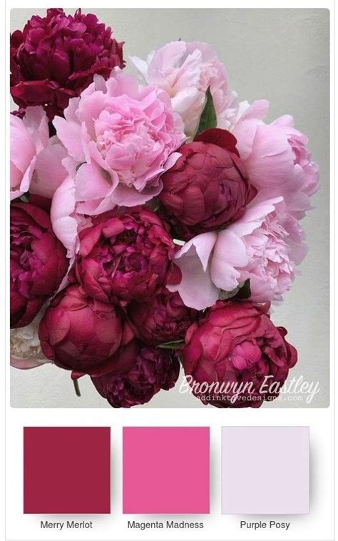 Peony colors – Artofit