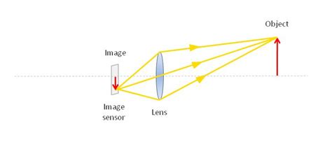 Camera Ray Diagram Fun Science Art Education