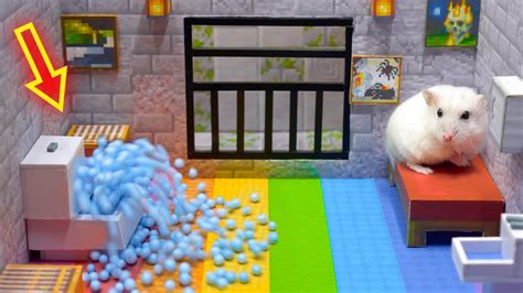 Hamster Escapes From The Minecraft Rainbow Prison Maze Obstacle